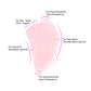 3 in 1 Rose Quartz Jade Roller and Sha Massager Tools Set | Jovivi - Jovivi