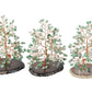 Green Aventurine tumbled crystal money tree