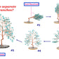 jovivi how to separate the tree of life branches. asd03570
