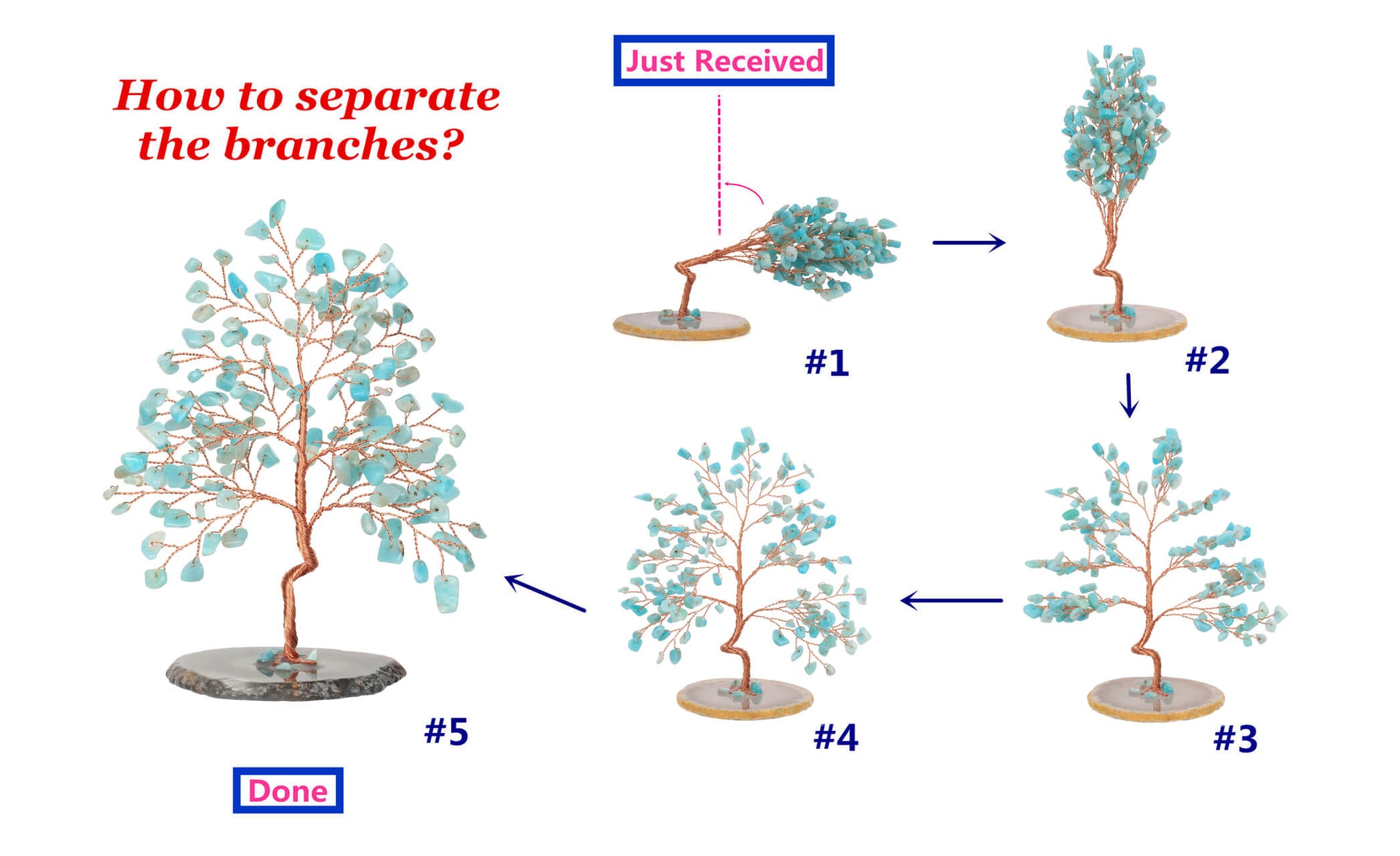 jovivi how to separate the tree of life branches. asd03570