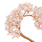 Natural Crystals Love-Shaped Money Tree Feng Shui Ornament | Jovivi