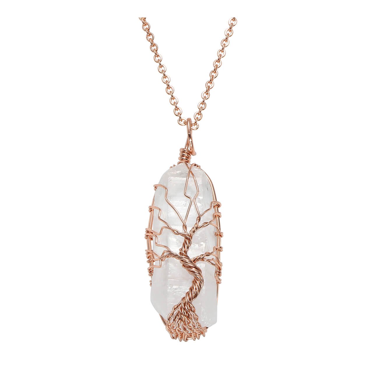 Lv Clear Chain Necklace  Natural Resource Department
